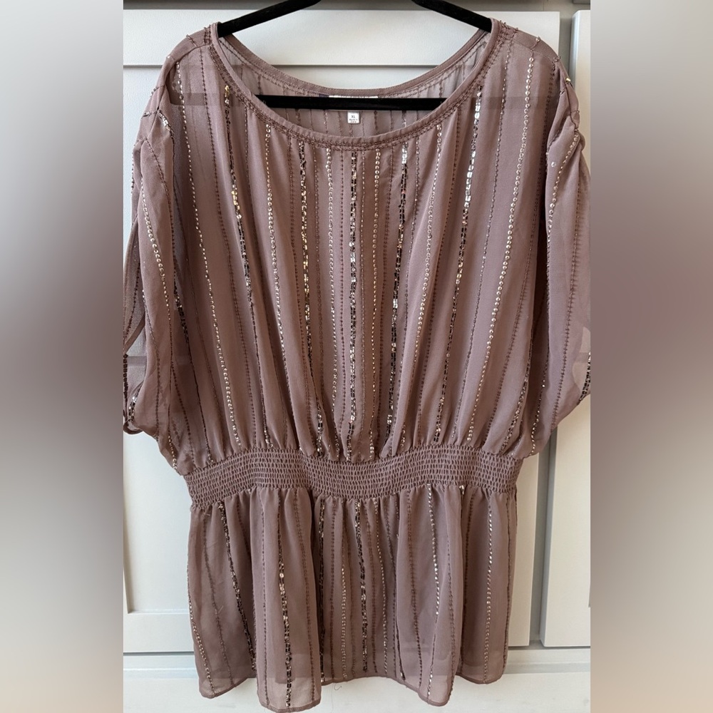 Jennifer Lopez Mauve Sheer Blouse with Sequin Stripes